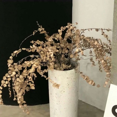 兽设星空场景创作Furry群